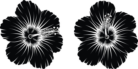 Tropical Hibiscus Flower Silhouette Vector Set for Exotic Summer Nature Beauty and Floral Botanical Wedding Invitation Design Projects © MDRONI