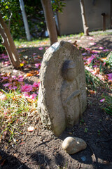 江の島26223　常立寺4　椿