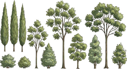 Various green trees and shrubs vector illustrations with diverse natural foliage © Rafika