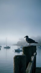 Fototapeta premium Seagull perched on weathered wooden dock post overlooking misty harbor with sailboats in background during peaceful morning atmosphere.