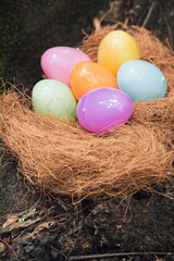 Fototapeta premium Pastel Easter eggs arranged in natural nest on woodland tree trunk, Happy Easter concept, spring celebration outdoors, rustic environment.