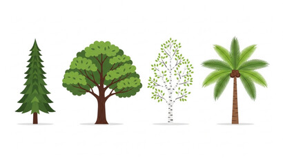 Stylized botanical tree vector illustration with pine, oak, birch, and palm forest species © Rasel