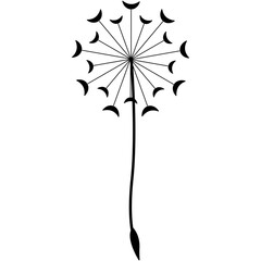 Dandelion Bloom Silhouette. Black and white illustration of a dandelion releasing seeds in the wind, against white backdrop. A striking black and white silhouette depicts a fully bloomed dandelion see