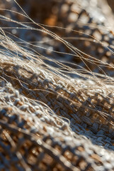 Obraz premium Macro detail of loose natural fibers on a woven textile background.