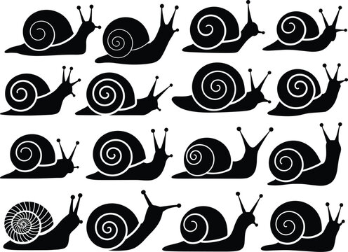Snail silhouette illustration, black snail icons, spiral shell vector, animal clipart design, snail pattern artwork, nature graphic collection, snail drawing