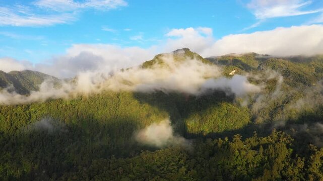 Aerial drone of rainforest on the mountain slopes with clouds at sunrise. Philippines, Mindanao.