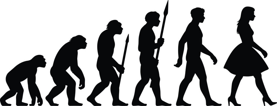 Human evolution silhouettes, progression from primates to modern humans, evolutionary journey concept, anthropology illustration, science education design, cultural development representation