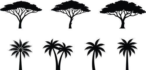Set of African savanna acacia trees and tropical palm tree silhouettes, black isolated vector icons on white background, nature elements © Hanifer