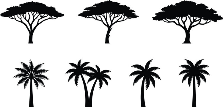 Set of African savanna acacia trees and tropical palm tree silhouettes, black isolated vector icons on white background, nature elements