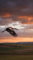 Fototapeta premium Majestic crane soaring through dramatic sunset sky with orange and purple clouds over rural landscape during golden hour migration flight.