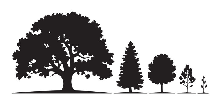 Set of various tree silhouettes from large oak to small sapling representing growth and forest diversity