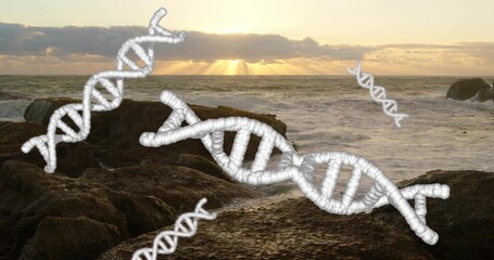 Naklejka premium Displaying dominant white 3D DNA helix over rocky coastal shoreline at sunset with low clouds