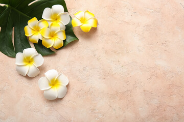 Fototapeta premium Beautiful plumeria flowers with tropical monstera leaf on beige background