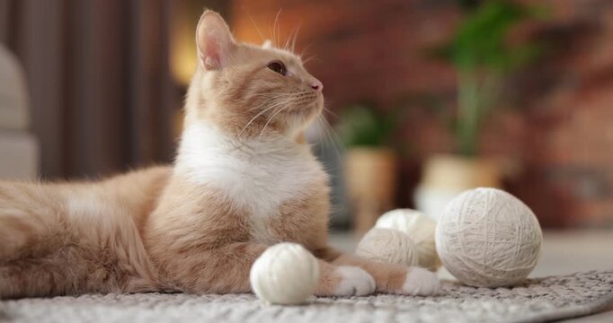 Cute ginger cat with balls of yarn on rug indoors, closeup