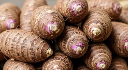 Pile of nutrient-rich taro roots, a carbohydrate-rich starchy staple