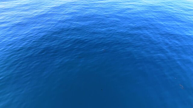 Top view drone footage gliding above deep blue sea with sparkling sun reflection and soft wave patterns, peaceful ocean background in bright natural light