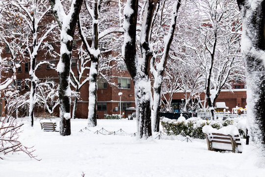 New York City after the Blizzard