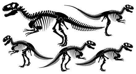 Dinosaur Skeletons in Various Poses. © Naswi