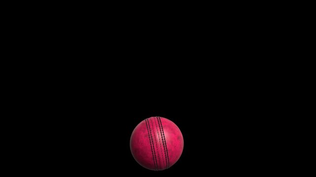 Cricket Leather Ball Animation Footage in Pink Color for Advertising and Creative Media