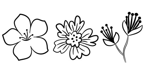 Set of hand drawn flower illustrations floral element design