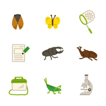 虫取り イラスト アイコンセット 夏休み 自由研究 手描き かわいい