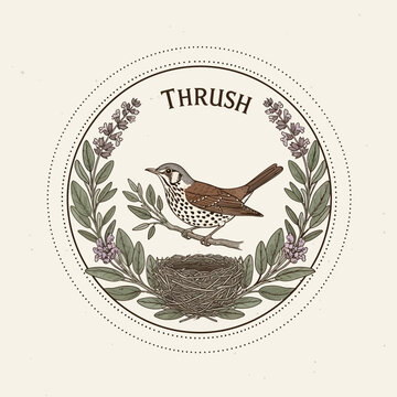 Thrush Bird with Nest and Botanical Wreath Illustration.