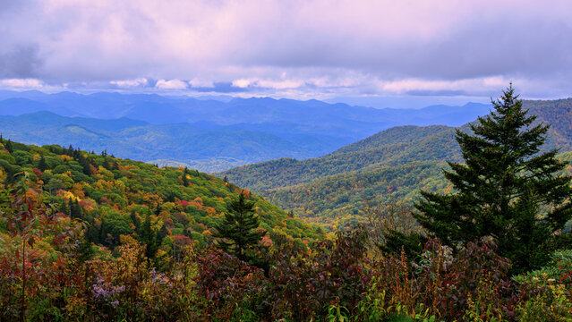 A panoramic view of rolling mountains covered in autumn foliage under a cloudy sky. The foreground features lush green trees and shrubs, with hints of red and yellow leaves, leading the eye towards