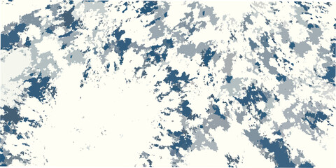 Abstract camouflage pattern with gray white and blue tones in a textured digital design © Prince