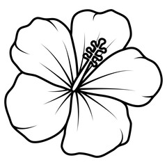 vector illustration of a hibiscus flower