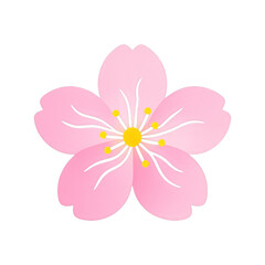 Fototapeta premium PNG Pink cherry blossom illustration.