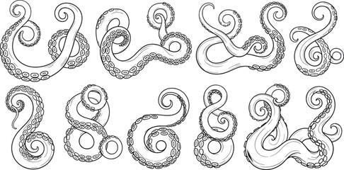 Detailed Line Art Vector Illustration Set of Various Curling Octopus Tentacles with Suckers Isolated on White Background for Nautical and Marine Life Design Concepts © Mukta