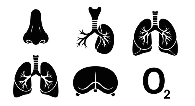Respiratory System Organ Anatomy and Oxygen Health Icon Set