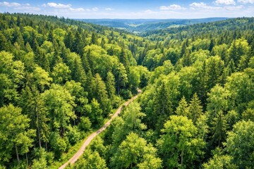 Obraz premium Aerial perspective of German woodland and greenery