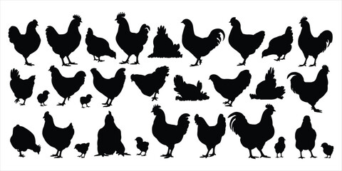Collection of Black Silhouettes of Chickens, Roosters, and Chicks vector illustration © Ariful