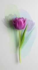 Elegant Purple Tulip Faded Artistic Bloom