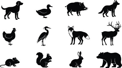 Animal silhouettes illustration set, twelve diverse species, domestic and wild, black and white vector art, educational wildlife, decorative design elements © MdHemal