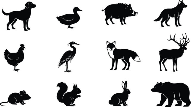 Animal silhouettes illustration set, twelve diverse species, domestic and wild, black and white vector art, educational wildlife, decorative design elements