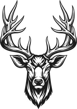 Deer head vector illustration, intricate antlers artwork, symmetrical wildlife silhouette, decorative nature inspired design, rustic emblem graphic clipart