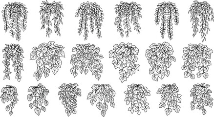 Minimalist hanging plants silhouette collection, botanical vector illustrations, indoor houseplants, decorative foliage, modern nature decor, eco-friendly design elements © MstHena