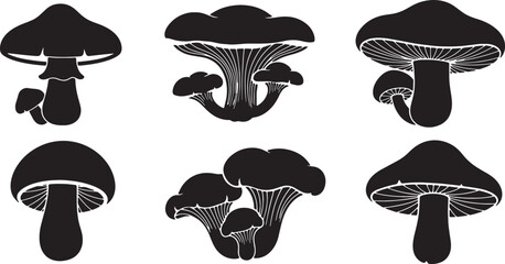 Forest Mushroom and Fungi Elements for Ground Detail © Lubna