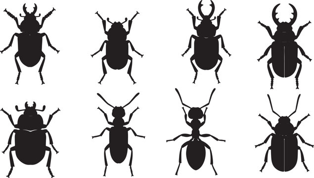 Forest Insect Elements for Ground Life