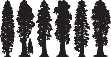 Black Solid Giant Sequoia Tree Silhouettes Set of Six on White Background © Lubna