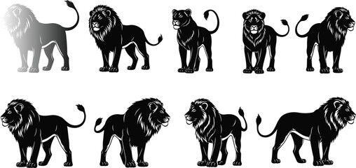 Black lion silhouette vector collection with male and female lions isolated on white background for cad drawing flat illustration design © Mehedi