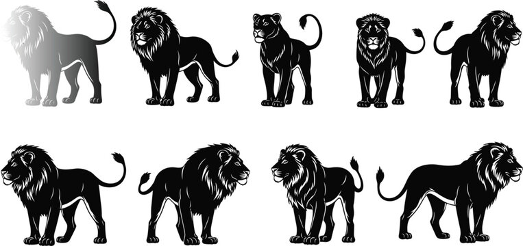 Black lion silhouette vector collection with male and female lions isolated on white background for cad drawing flat illustration design