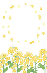 Textile Style Nanohana (Canola Flower) Vector Template (No Text) | Spring Floral Background Illustration