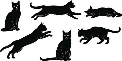 Cat silhouettes in sitting leaping and crouching poses, dynamic vector illustration design for feline behavior artwork and decorative projects © Hafeza