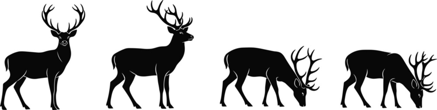 Male deer silhouettes vector illustration, four grazing and standing poses, antlered wildlife artwork, black animal design, nature inspired graphic