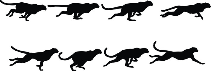 Cheetah running silhouettes sequence, fast stride motion artwork, wildlife speed symbol, animal locomotion vector illustration, nature design element © MdSajibul