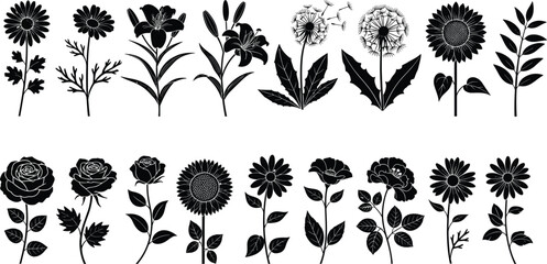 Collection of 20 floral silhouettes featuring diverse flowers and plants, vector illustration for botanical, decorative, garden, design themes © MdSajibul