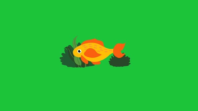 Bright orange and yellow fish swims among green aquatic plants in a smooth looping animation perfect for childrens educational and decorative videos